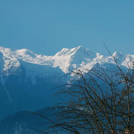Ferienhaus Pinzgau Fur Familiengruppen